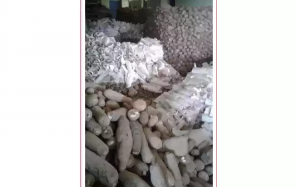 See Photos Of Tubers Of Yam Being Packaged For Exportation